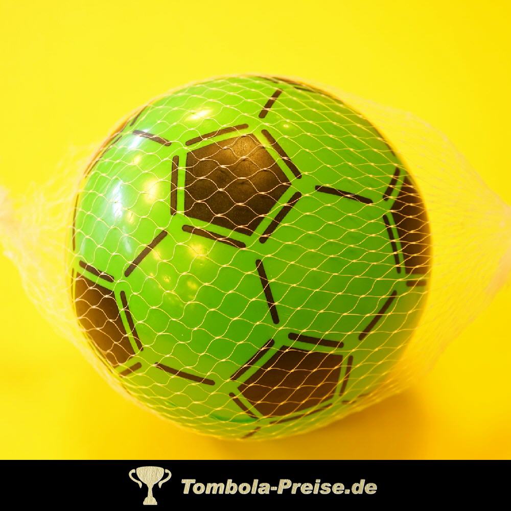 TreuePr&auml;sent PVC-Ball 20 cm