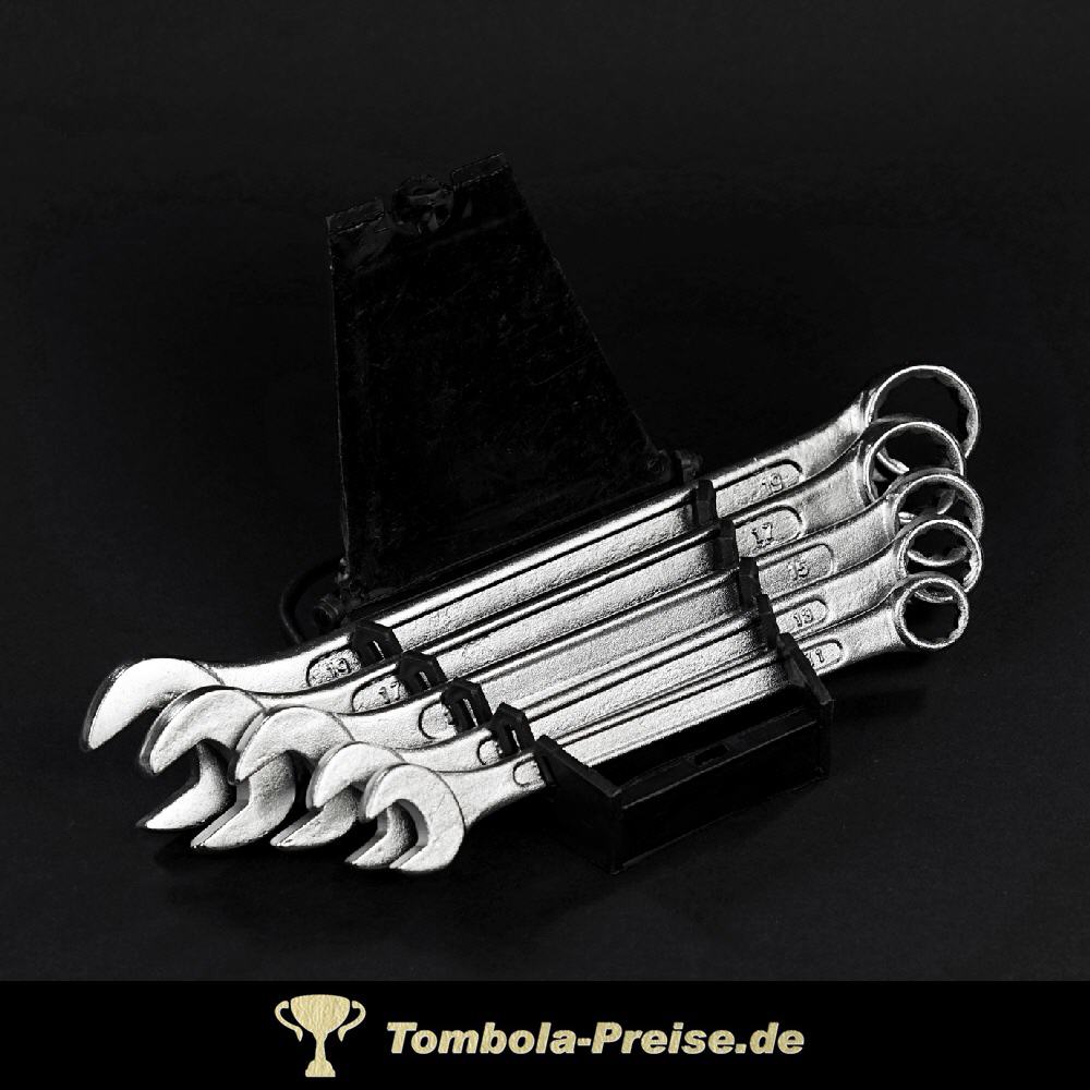 Gabel- und Ringschl&uuml;ssel-Satz