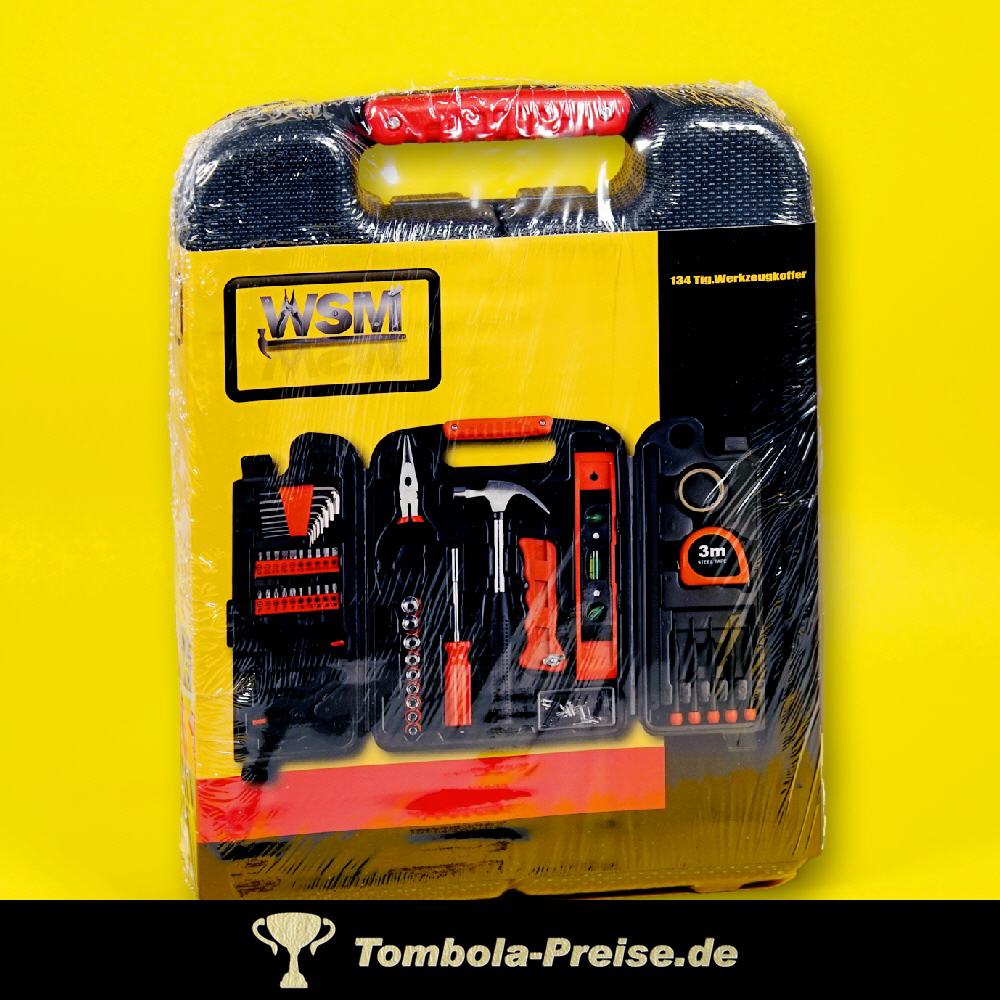 Werkzeug-Kasten 134teilig